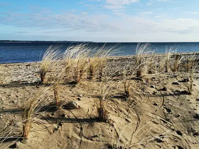 Ferienwohnung für 6 Personen (120 m²) in Selk 10/10