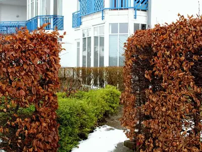 Ferienwohnung für 4 Personen (60 m²) in Sellin (Ostseebad) 1/10
