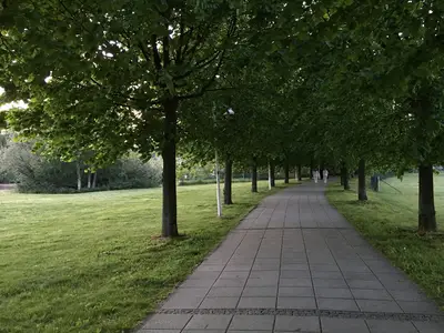 AreaSummer1KM