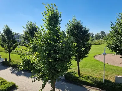 Ferienwohnung für 4 Personen (50 m²) in Sellin (Ostseebad) 9/10