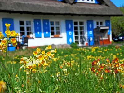 Ferienwohnung für 4 Personen (58 m²) in Sellin (Ostseebad) 4/10