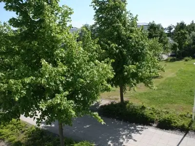 Ferienwohnung für 2 Personen (45 m²) in Sellin (Ostseebad) 2/8