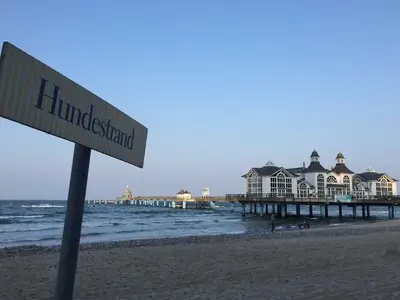 Ferienwohnung für 4 Personen (72 m²) in Sellin (Ostseebad) 4/10