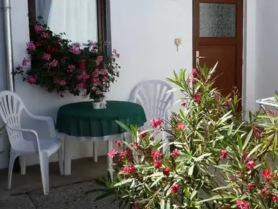 Ferienwohnung für 2 Personen (28 m²) in Sellin (Ostseebad) 4/8
