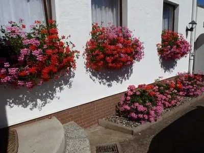 Ferienwohnung für 4 Personen (50 m²) in Sellin (Ostseebad) 8/10
