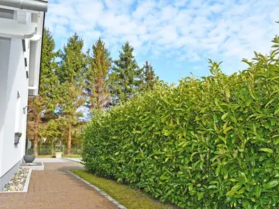 Ferienwohnung für 4 Personen (80 m²) in Sellin (Ostseebad) 4/10