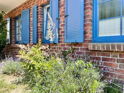 Ferienwohnung für 5 Personen (66 m²) in Sellin (Ostseebad) 9/10