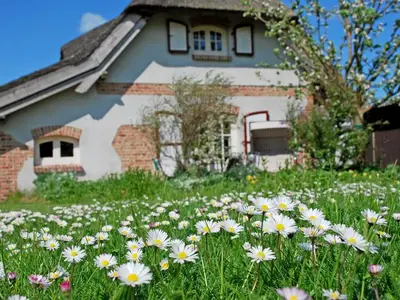 Ferienwohnung für 4 Personen (85 m²) in Sellin (Ostseebad) 3/10
