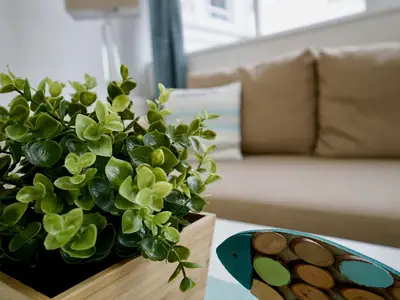 Ferienwohnung für 3 Personen (44 m²) in Sellin (Ostseebad) 8/10