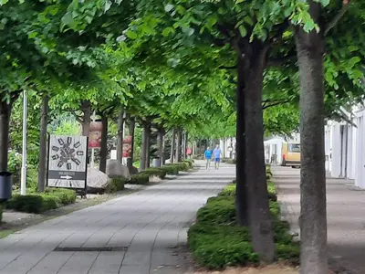 Ferienwohnung für 3 Personen (32 m²) in Sellin (Ostseebad) 9/10