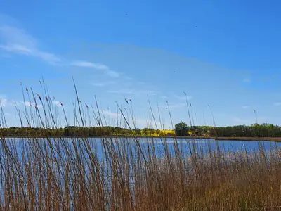 Ferienwohnung für 2 Personen (28 m²) in Sellin (Ostseebad) 5/10