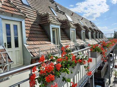 Ferienwohnung für 6 Personen (40 m²) in Senftenberg 3/10