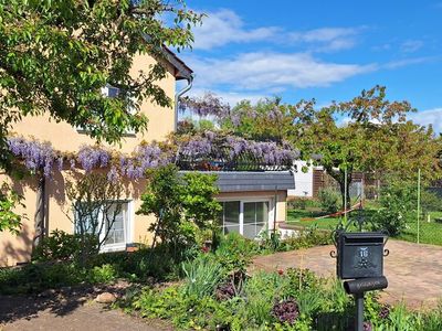 Ferienwohnung für 2 Personen (50 m²) in Senftenberg 3/10