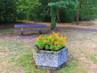 Ferienwohnung für 5 Personen (52 m²) in Senftenberg 6/10