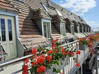Ferienwohnung für 6 Personen (80 m²) in Senftenberg 3/10