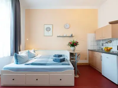 Ferienwohnung für 1 Person (12 m²) in Senftenberg 6/10