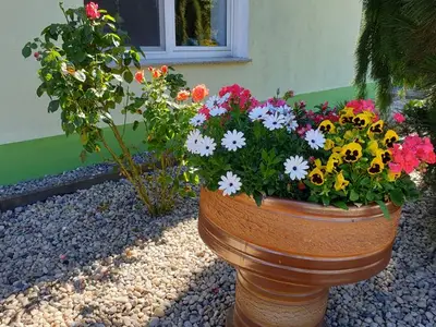 Ferienwohnung für 4 Personen (85 m²) in Senftenberg 7/10