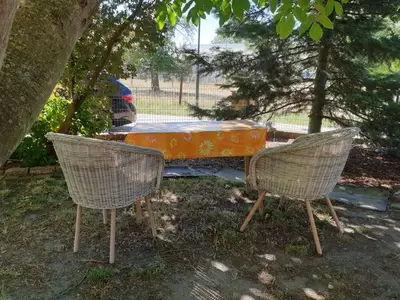 Ferienwohnung für 4 Personen (85 m²) in Senftenberg 8/10