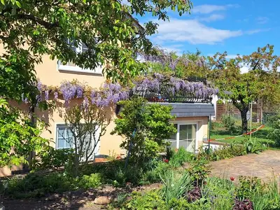 Ferienwohnung für 2 Personen (50 m²) in Senftenberg 1/10