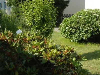 Ferienwohnung für 5 Personen (75 m²) in Senftenberg 2/10