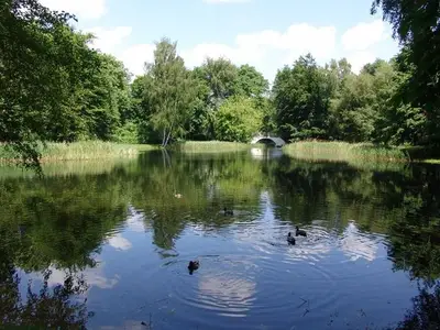 Ferienwohnung für 4 Personen (45 m²) in Senftenberg 9/10