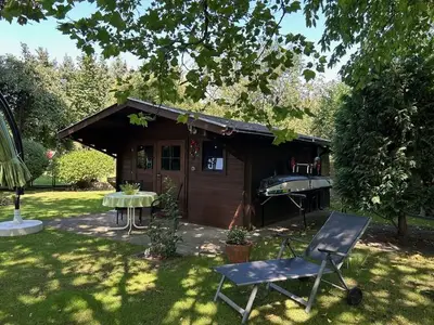 Ferienwohnung für 4 Personen (60 m²) in Senftenberg 7/10