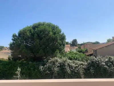 ViewSummer