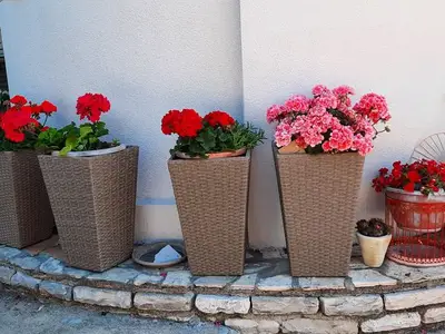 Ferienwohnung für 3 Personen in Šibenik 7/10