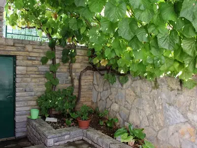 Ferienwohnung für 6 Personen in Šibenik 3/10