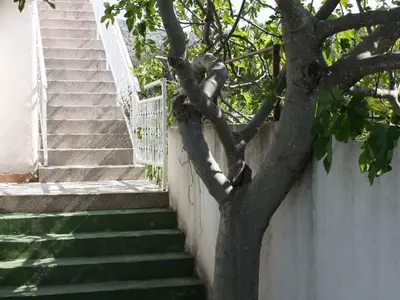 Ferienwohnung für 5 Personen in Šibenik 8/10