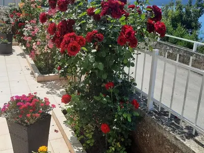 Ferienwohnung für 6 Personen in Šibenik 10/10