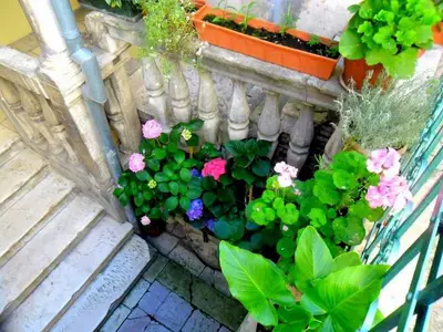 Ferienwohnung für 3 Personen (40 m²) in Šibenik 4/10