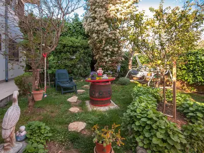 GardenSummer