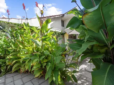 GardenSummer
