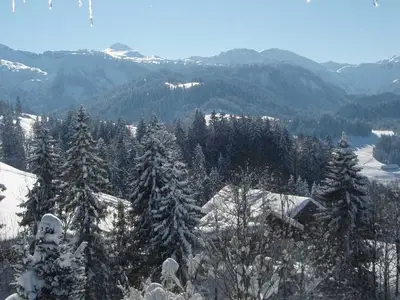 Ferienwohnung für 4 Personen (52 m²) in Sibratsgfäll 1/10