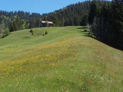 Ferienwohnung für 4 Personen (52 m²) in Sibratsgfäll 8/10