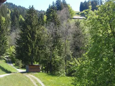 Ferienwohnung für 4 Personen (52 m²) in Sibratsgfäll 10/10