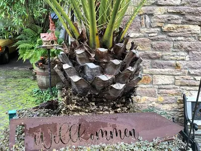 Ferienwohnung für 4 Personen (72 m²) in Siefersheim 5/10