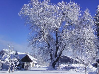 Winterlandschaft