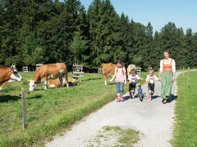 Sommerlandschaft