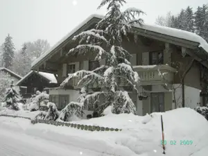 Ferienwohnung für 3 Personen (60 m²) in Siegsdorf