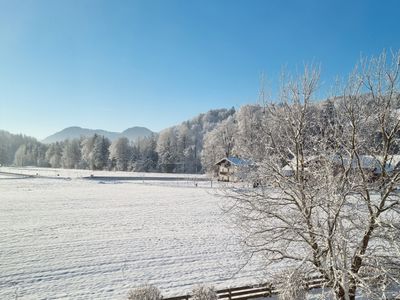 Ferienwohnungen am Alpenrand Ausblick vom Balkon