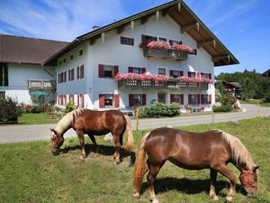 Ferienwohnung für 4 Personen (65 m&sup2;) in Siegsdorf