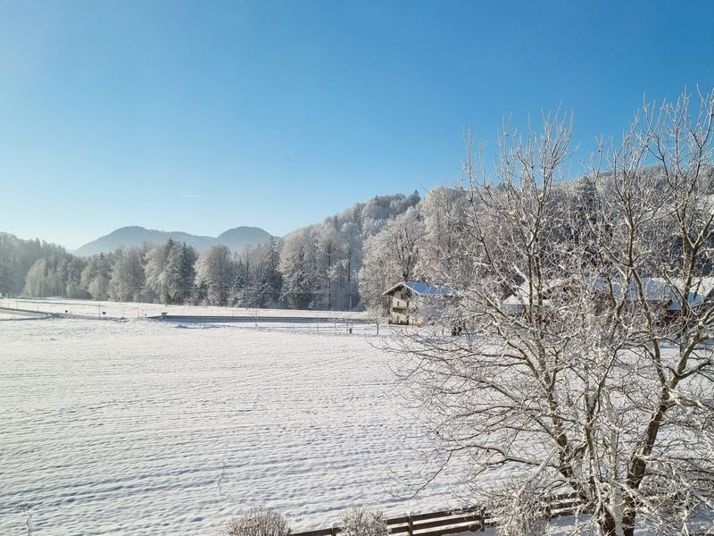 23566050-Ferienwohnung-2-Siegsdorf-800x600-2