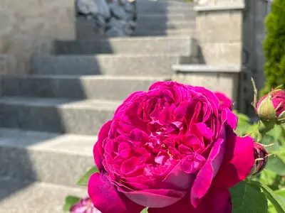 Treppe
