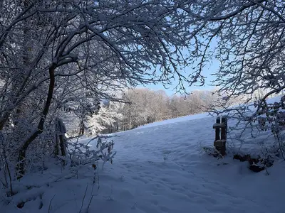 Winterlandschaft, Blick auf unsere Weide