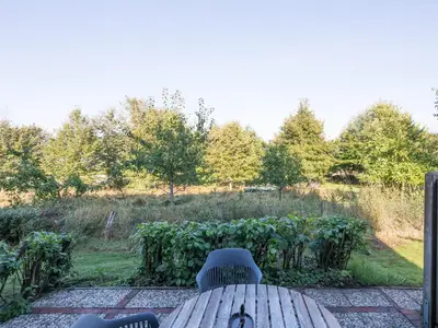 ViewSummer