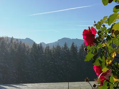 Aussicht vom Haus aus