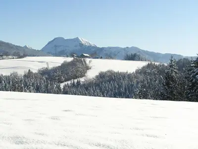 ViewWinter