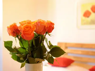 ROMANTISCHER AUGENBLICK - HOCHGALLIONGER HOF